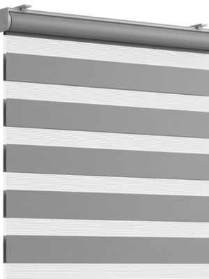 Zebra Blind
