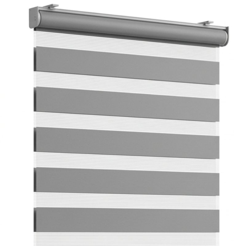 Zebra Blind